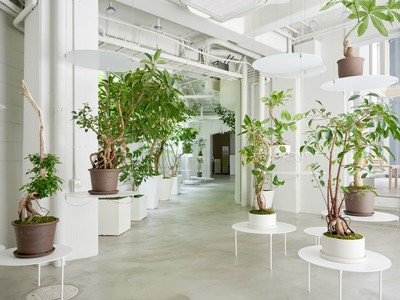業界初プランツケアラボを併設の「観葉植物専門店REN」が、8月12日、延床面積300平米に増床し、リニューアルオープン
