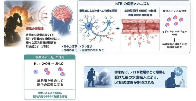 低濃度水素吸入が爆風由来TBIのうつ・社会性障害を抑制｜MiZ・防衛医科