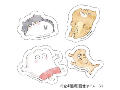 死にかけの猫を拾ったら宇宙人だった!?　野良育ちの猫3匹×アラサーゲイの実録キャットフルエッセイ『あたいとネチコヤン』第1巻が発売!!