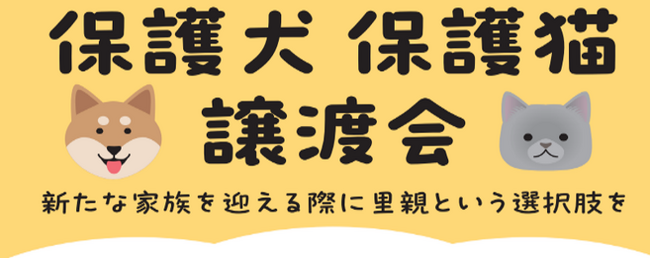 保護犬・保護猫の譲渡活動が拡大中！2026年６月綿半店舗開催の譲渡会スケジュールが決定！