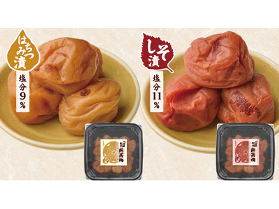 綿半から「訳あり紀州南高梅」が新登場