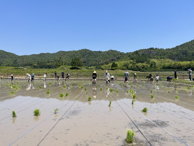 リゾートトラスト 「サンメンバーズ京都嵯峨」嵯峨嵐山の自然環境保全や地域文化を体験するプログラムを開催。　～未来に向けた地域応援で持続可能な社会の実現を目指す～