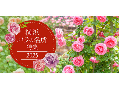 横浜で楽しめるバラの名所を紹介する「横浜 バラの名所特集2025」をオープン!