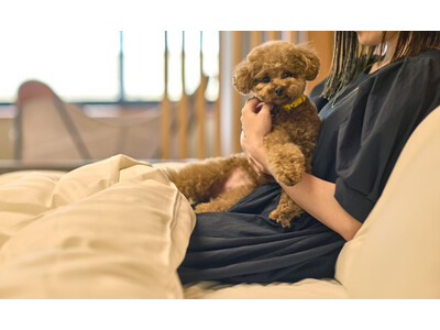 奈良ではまだ少ない愛犬と泊まれるリゾートホテル　3室限定の「ドッグルーム」を販売開始