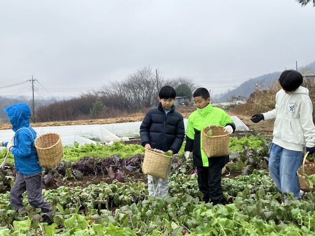 山梨ジュニアアンバサダープログラム2日目!畑から食卓へ。体験を通じて実感する山梨の魅力