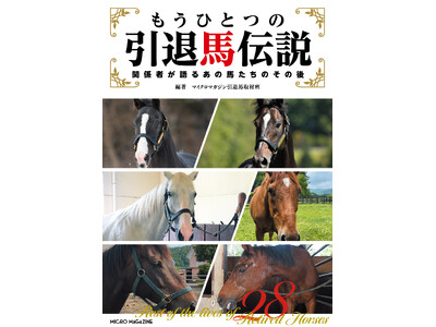 �C�N�C�m�b�N�X�A�S�[���h�V�b�v�A�p���T���b�T�\�[�B�Ǝ���ނŌ@�艺����A���̋����n�A�����n�����̈��ތ�̗]���ɃA�v���[�`�����w�����ЂƂ̈��ޔn�`�� �`�֌W�҂���邠�̔n�����̂��̌�x�d�ŏo���I