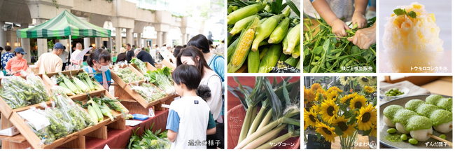 “夏先取り”イベント！産地直送の新鮮な朝採れ夏野菜がそろう「トウモロコシ&枝豆フェスティバル」開催