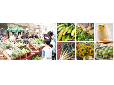 “夏先取り”イベント！産地直送の新鮮な朝採れ夏野菜がそろう「トウモロコシ&枝豆フェスティバル」開催