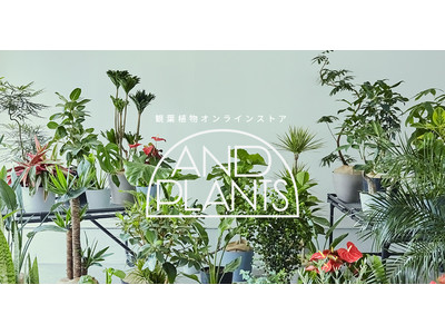 観葉植物D2Cブランド「AND PLANTS」が、手のひらサイズのテーブルプランツを販売開始