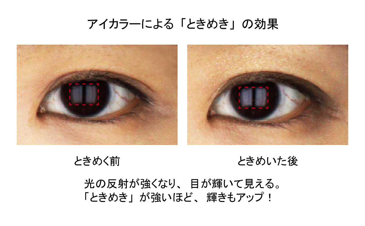 「ときめくと目が輝く」を実証！アイカラーがもたらす「ときめき」の秘密