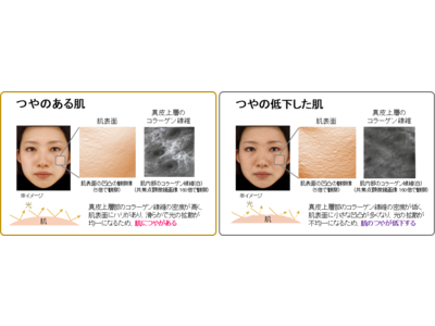 日本メナード化粧品　　肌の老化は「つや」の低下から始まる！