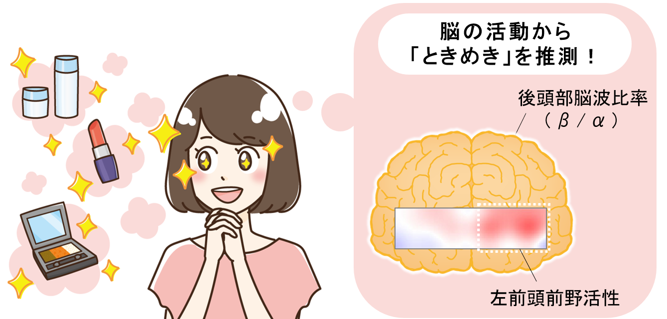 日本メナード化粧品、「ときめき」を感じる脳の活動領域を確認　～脳の活動状態から「ときめき」を推測する！～