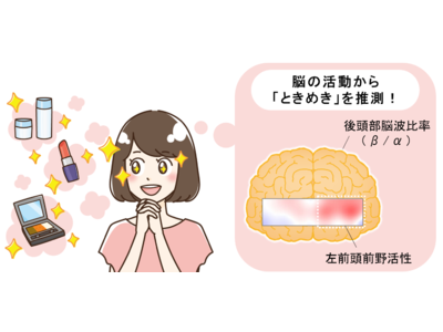 日本メナード化粧品、「ときめき」を感じる脳の活動領域を確認　～脳の活動状態から「ときめき」を推測する！～