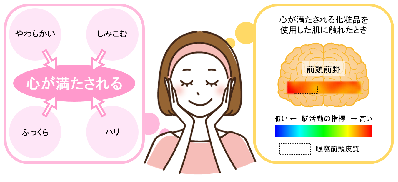 「心が満たされる」化粧品に必須の肌の仕上がりは、やわらかい・しみこむ・ふっくら・ハリ！
