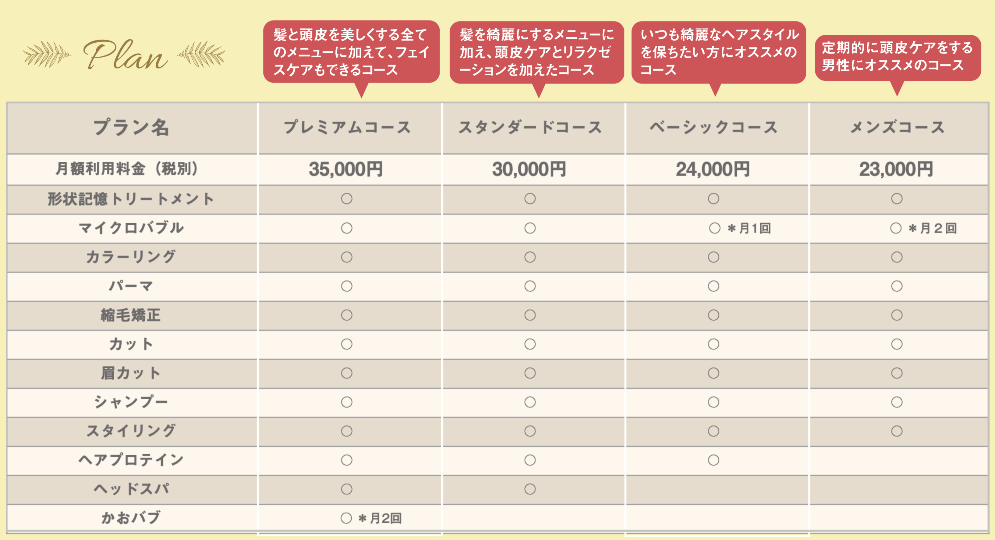 美容業界初！完全定額制美容室「Attina」（アティーナ）の会員メニューが新しくなりました！