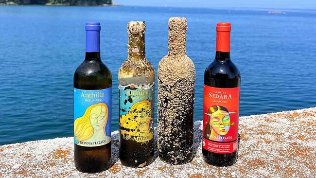 三浦・小網代湾発【初出荷カキ×海底熟成ワイン】で“究極のペアリング”を数量限定解禁!富士山を望むヨットの聖地「リビエラシーボニアマリーナ」で贅沢なひととき。