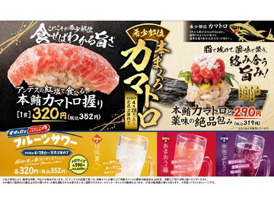 大衆寿司居酒屋「鮨 酒 肴　杉玉」、1匹からわずか約3％しかとれない、濃厚な脂を味わえる『希少部位 本まぐろカマトロ』登場！さらに、国産果物を使用したフルーツサワーも登場