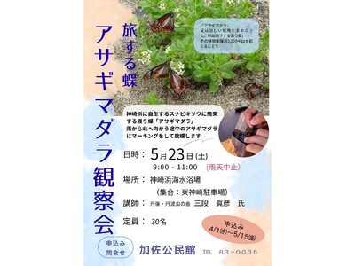【5月23日開催】舞鶴・神崎浜で「アサギマダラ」観察会。2,000キロを旅する蝶のマーキングに挑戦
