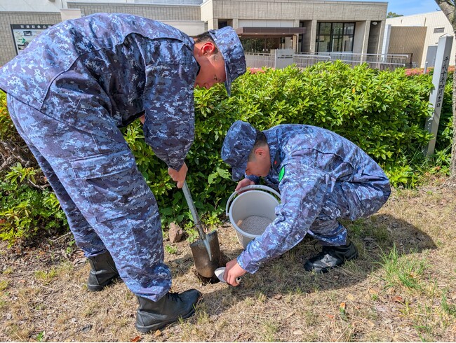海上自衛隊舞鶴教育隊が引揚記念公園で桜の樹勢回復に向けた施肥を実施