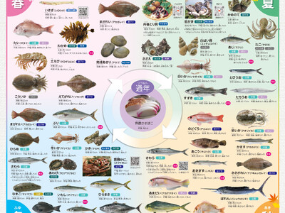 【京都府舞鶴市】約10年ぶりに「舞鶴の旬の特鮮さかな」をバージョンアップ！