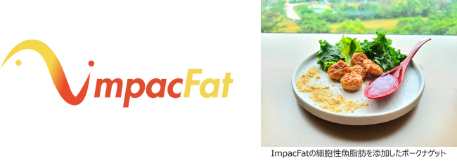 細胞性の魚脂肪からオメガ3含有の機能性原料を開発するシンガポールのImpacFatへ出資