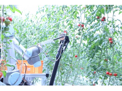 株式会社スマートロボティクスが、AI×自動走行型アームロボット「トマト自動収穫ロボット」の実証実験をビニールハウスで開始！