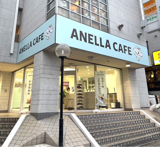 毎月1店舗オープンの快進撃！「保護犬猫ふれあいカフェ ANELLA CAFE」年始からわずか4ヶ月で新規4店舗を続々展開 - 関東・九州・近畿地方に "新しい家族"と出会う場を！