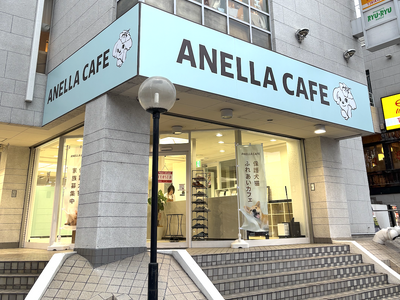 毎月1店舗オープンの快進撃!「保護犬猫ふれあいカフェ ANELLA CAFE」年始からわずか4ヶ月で新規...