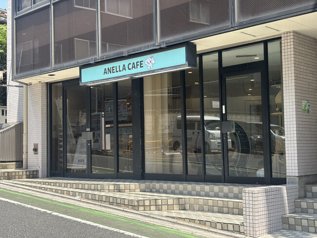 可愛い保護犬猫とふれあえる！「ANELLA CAFE（アネラカフェ）南浦和店」5月15日(金)オープン！