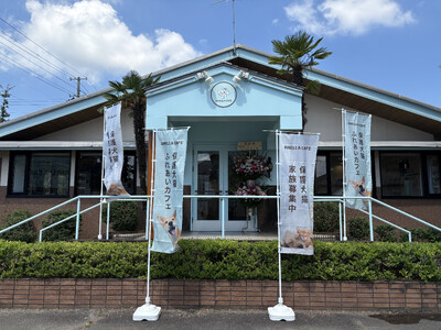 【新潟県初陸上！】全国41店舗を達成した「ANELLA CAFE」が新発田市に誕生！保護犬猫と心通う癒やしスペースが8月8日(土)オープン！