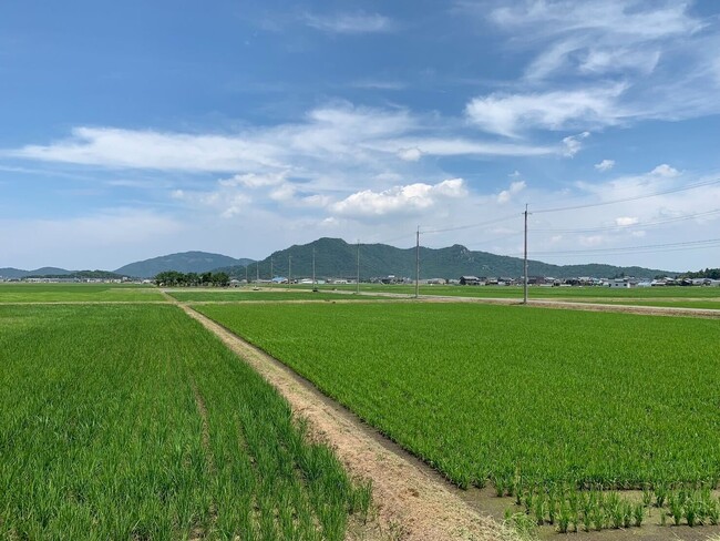 築地で学ぶ“本当においしい肉の知識”｜近江牛実食付きセミナーを11月29日に開催