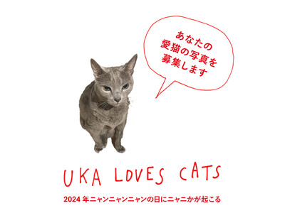2024年ニャンニャンニャンの日にニャニかが起こる。12月12日(火)から期間限定で、あなたの愛猫の写真を大募集！