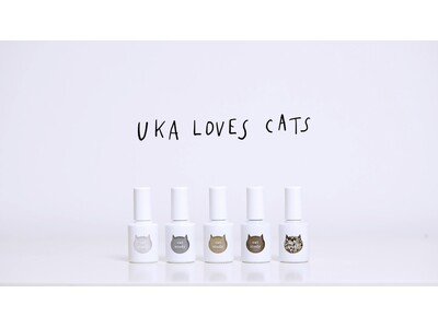 UKA LOVES CATS。2月15日(木)にキャットスタディの先行予約がスタート！ビジュアル動画も公開