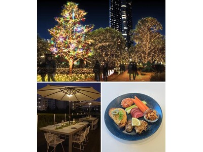 11月14日～イルミネーションを楽しめるドリンク付きのプレートセットがスタート！