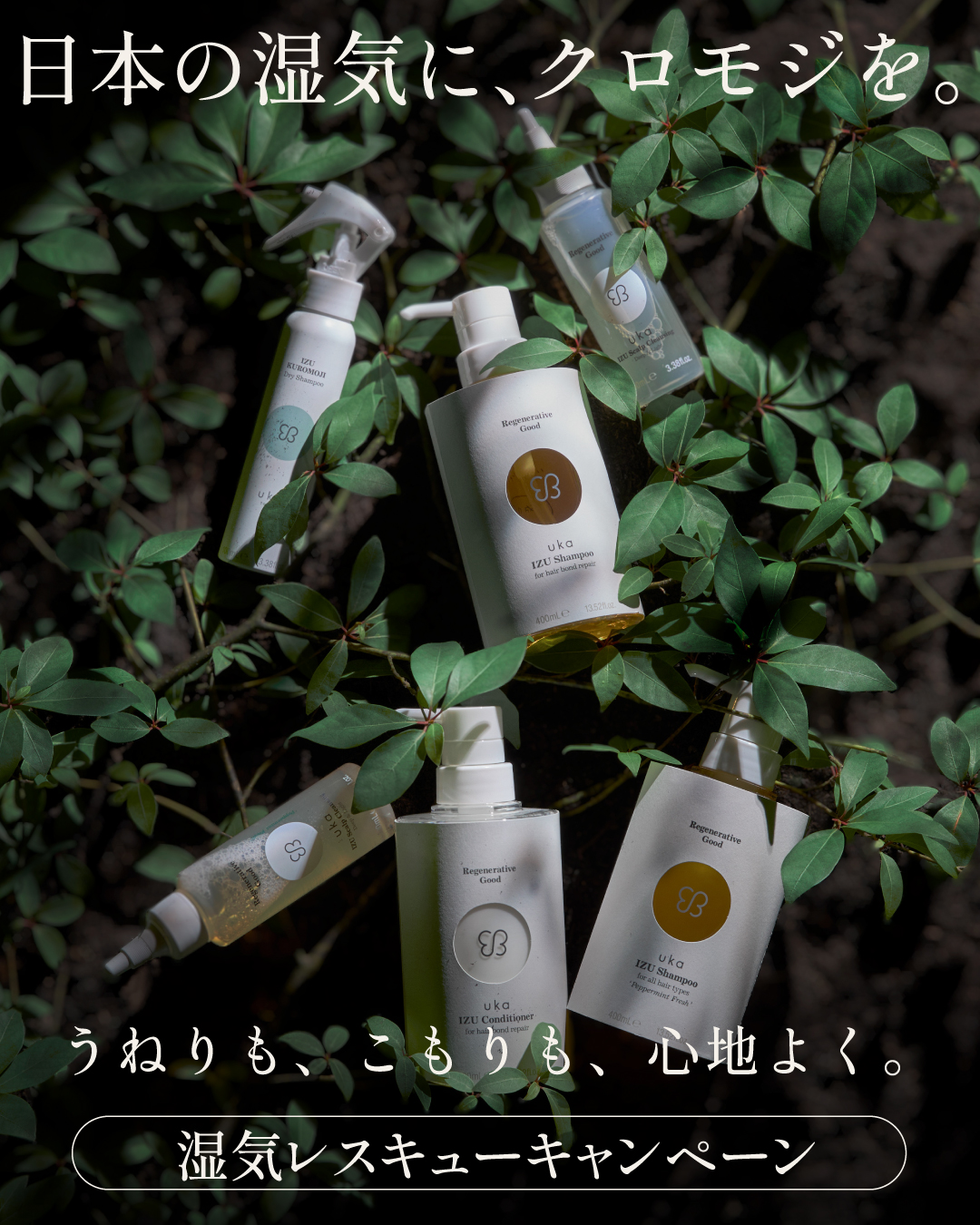 日本の湿気に、クロモジを。ukaの湿気レスキュー！