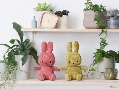 大人から子どもまで大人気の定番『Miffy Corduroy Collection』より日本の美しい春を感じる新色が登場！