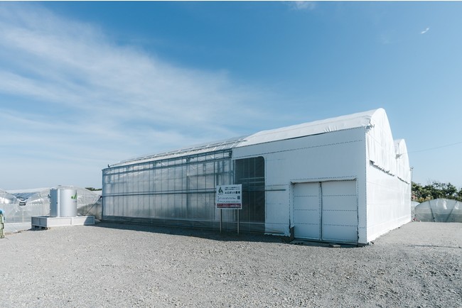AGRIST、企業の農業参入の相談受付を開始。耕作放棄地問題の解決と生産基盤強化へ