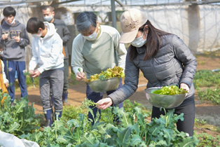 【UPDATER】「駅近◯分」から「地球貢献度」で土地を評価する時代へ　脱炭素社会の実現に向けて「みんな大地」の事業検証を開始
