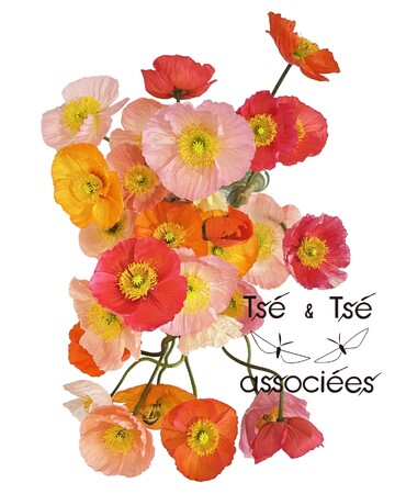 【新作特集】ツェツェ・アソシエ「四月の花器」特集公開。期間限定ラッピングサービスも実施。