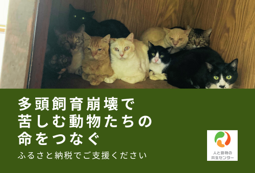 多頭飼育崩壊の予防を目指すプロジェクトを特定非営利活動法人「人と動物の共生センター」が開始