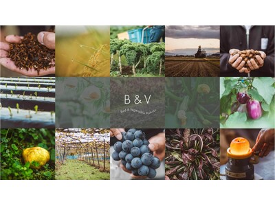 山形県河北町にホテル「Bed & Vegetable Kahoku」がオープン