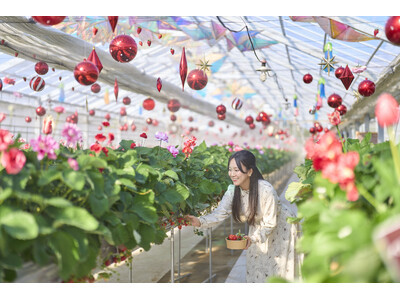 「関東最大級のバラのテーマパーク」で楽しむ未体験のいちご狩り「バラ科のフルーツ」いちごをバラの育種家が最新技術を駆使して育成「オズの国のストロベリーハント」開催