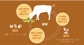 『HIS FOOD PROJECT』 北海道「美蘭牛・福姫」の流通を開拓