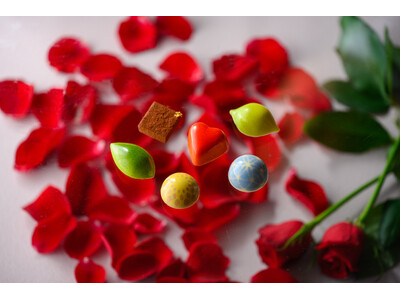 数量限定のバレンタインデーショコラ「クピド」が新登場。金沢東急ホテルが贈る、ショコラ6種を詰め込んだ特別な一箱