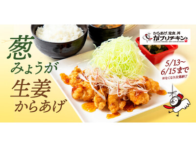 【がブリチキン。】フードコート・レストラン・テイクアウト専門店の13店舗でしか味わえないみょうが香る「葱...