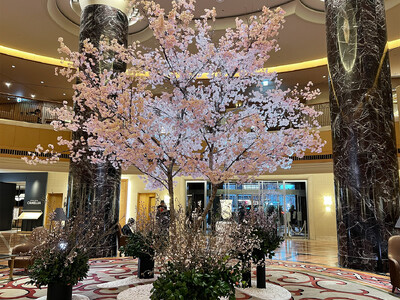 【ホテルオークラ福岡】「桜」をテーマにした特別企画を3月27日より開催