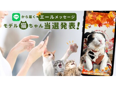 300枚を超える中から選ばれし52ニャン♪猫ぐらしブランド公式LINE企画