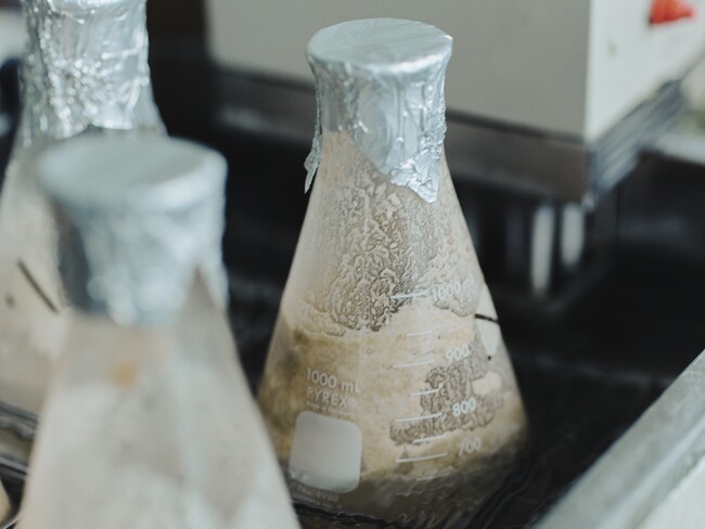 ファーメンステーション、岩手大学と共同研究を開始　ー未利用バイオマス発酵産物のヘルスケア機能を探索ー