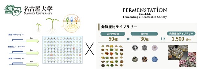 ファーメンステーション、名古屋大学とバイオスティミュラント素材開発の共同研究を開始