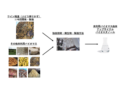 ファーメンステーションがワイン残渣（ぶどう搾りかす）由来のエタノール商用化製造を実現：フードロス／ウェイストをはじめとした未利用バイオマス由来の国産バイオエタノールの技術開発・商用化製造を加速